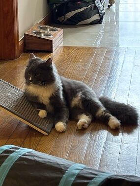 Meet your Posher, Rebecca